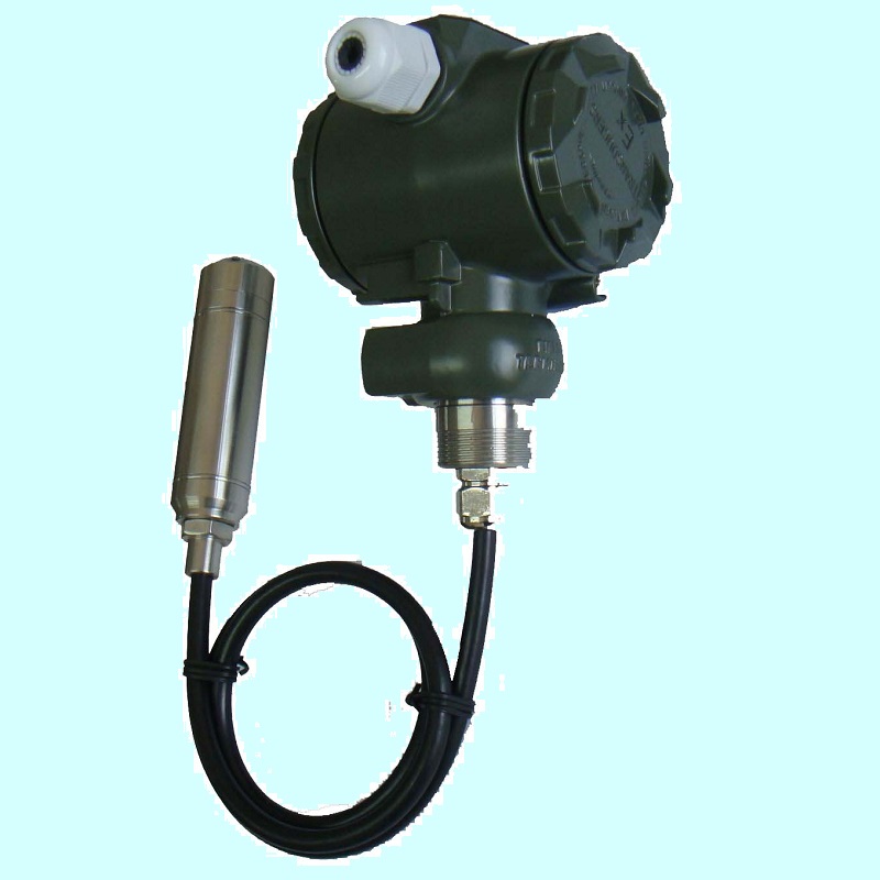 DTR136液位变送器,电缆5m,现场显示,0.5%精度 24VDC 投入式物位计